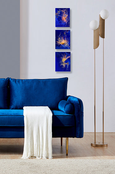 Ocean Life - Triptych