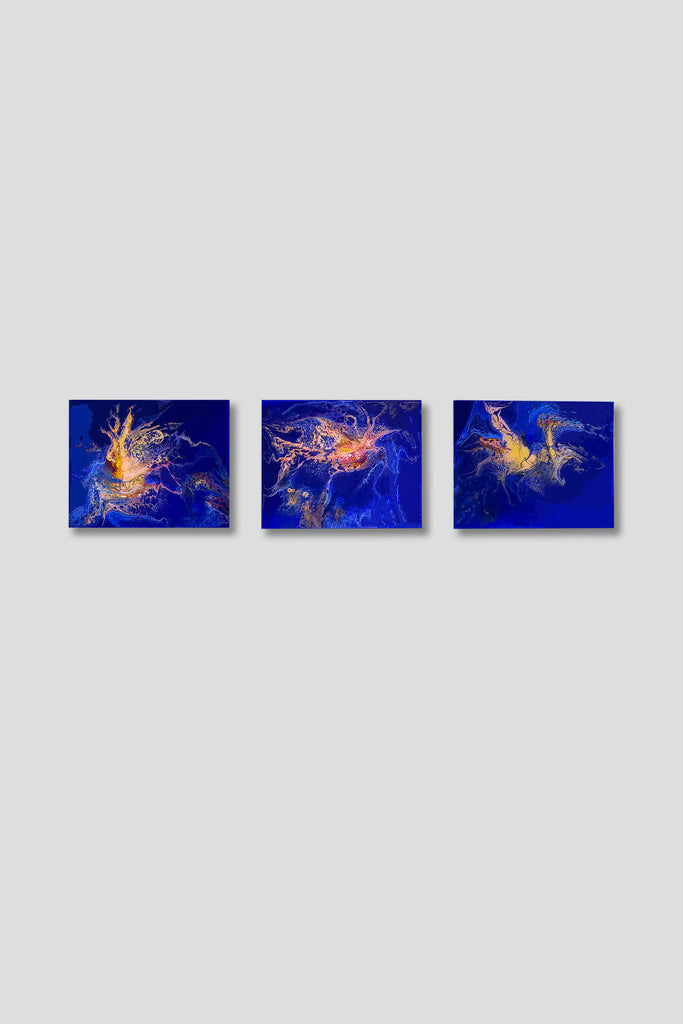 Ocean Life - Triptych